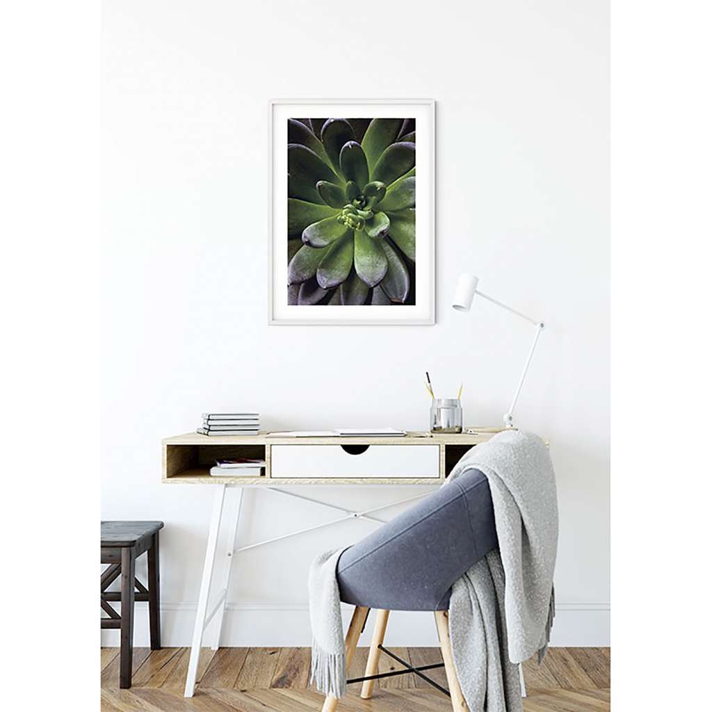 home24 Wandbild Succulent Single