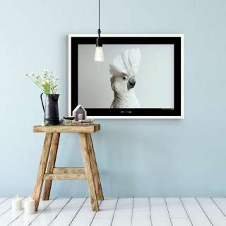 home24 Wandbild White Cockatoo