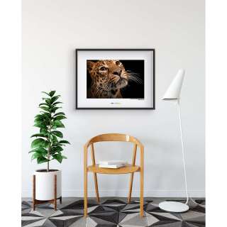 home24 Wandbild Javan Leopard