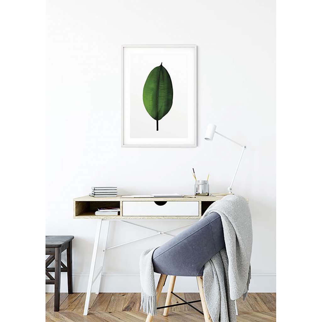 home24 Wandbild Ficus Leaf