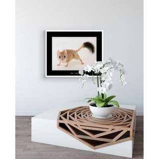home24 Wandbild Kowari