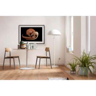 home24 Wandbild White Bellied Pangolin