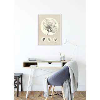 home24 Wandbild Transparent Leaf