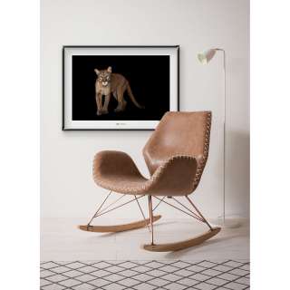 home24 Wandbild Florida Panther