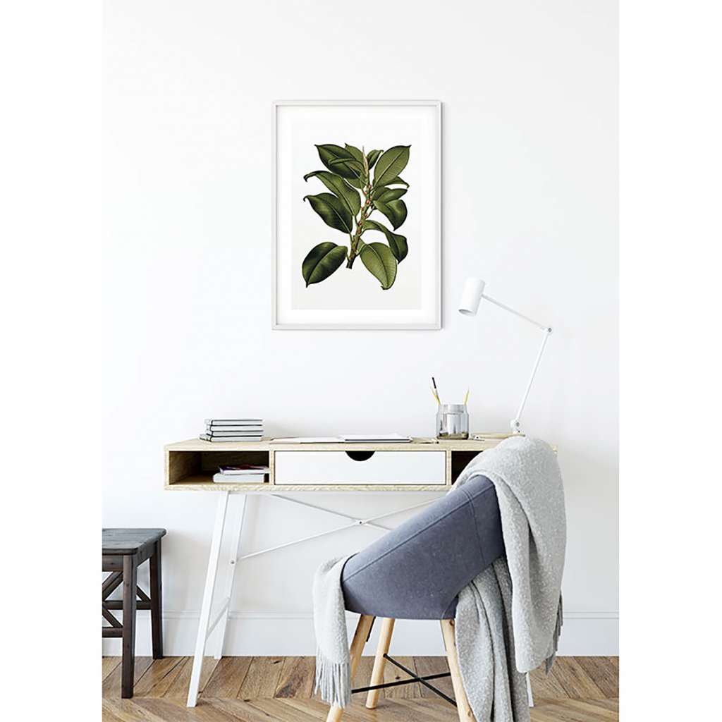 home24 Wandbild Elastica Tree