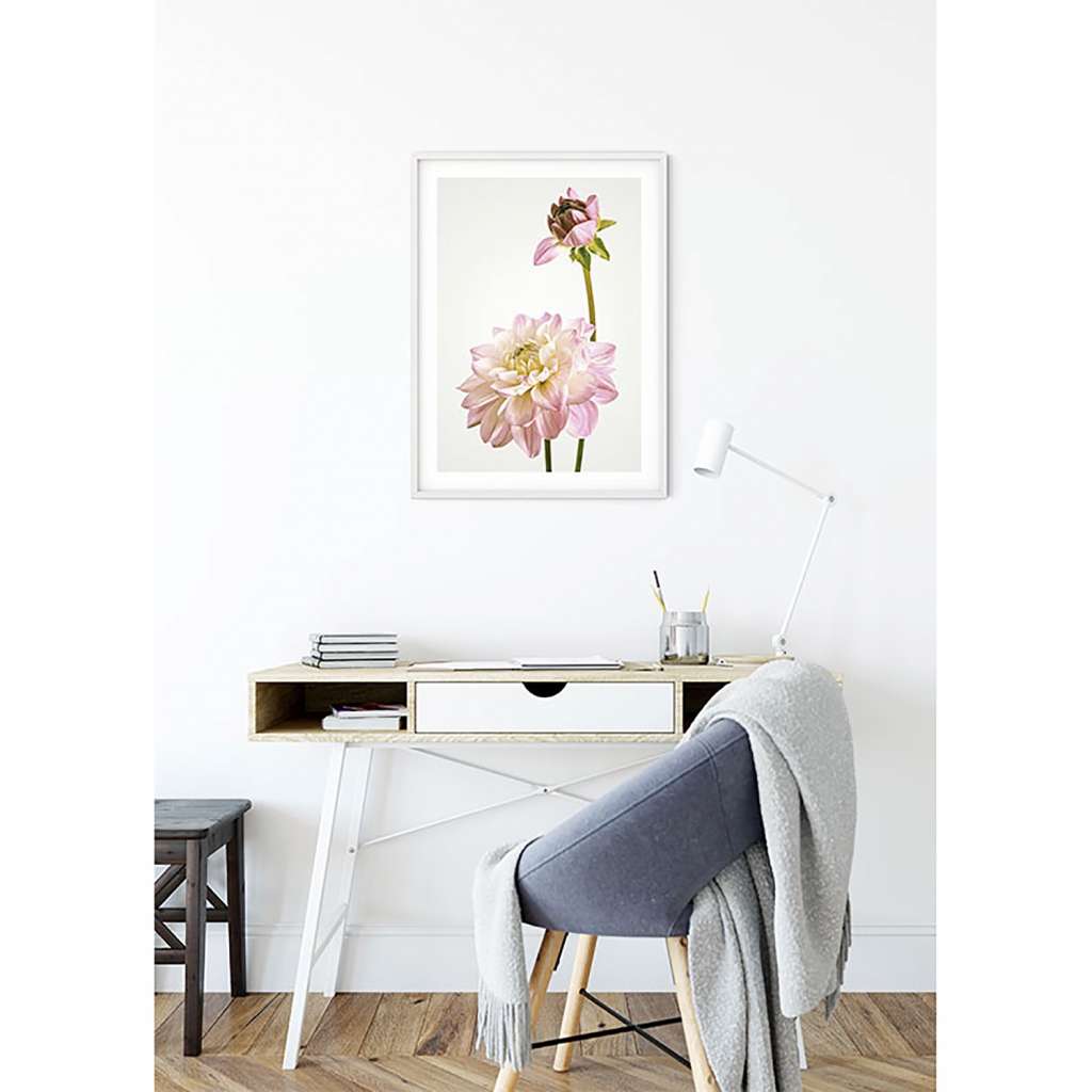 home24 Wandbild Dahlia