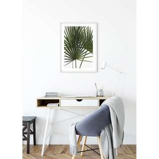 home24 Wandbild Palmtree Leaves
