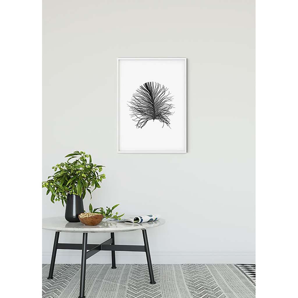 home24 Wandbild Feather