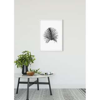 home24 Wandbild Feather