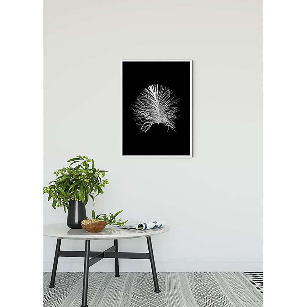 home24 Wandbild Feather