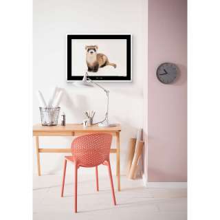 home24 Wandbild Black-footed Ferret