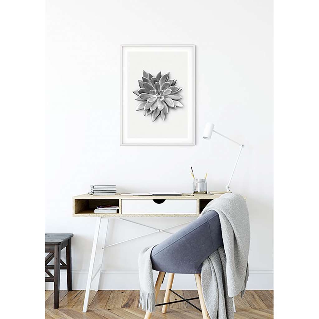 home24 Wandbild Succulent Agave