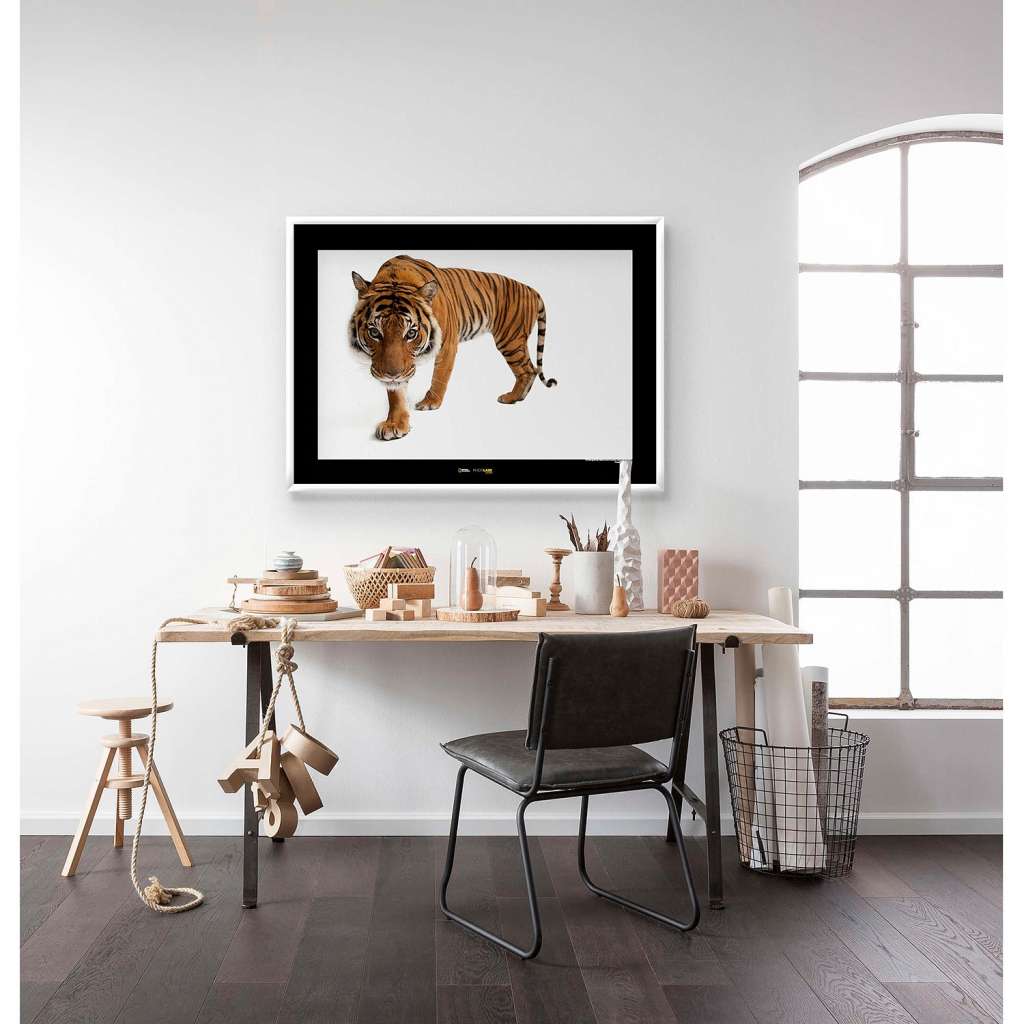 home24 Wandbild Malayan Tiger