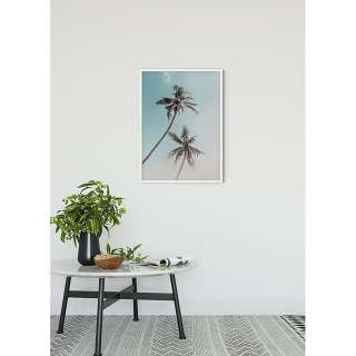home24 Wandbild Miami Palms