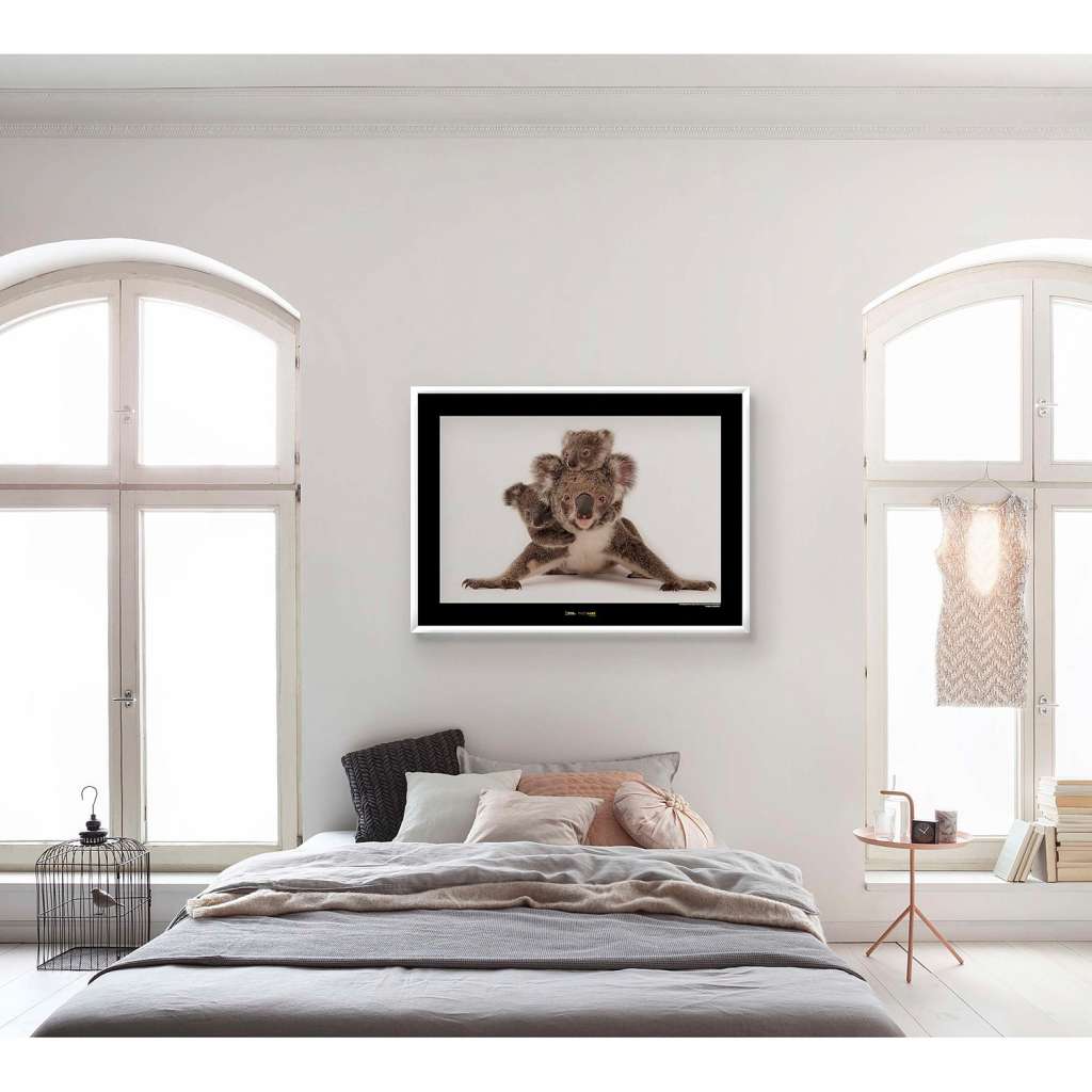 home24 Wandbild Koala