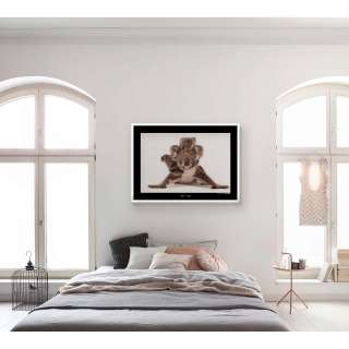 home24 Wandbild Koala