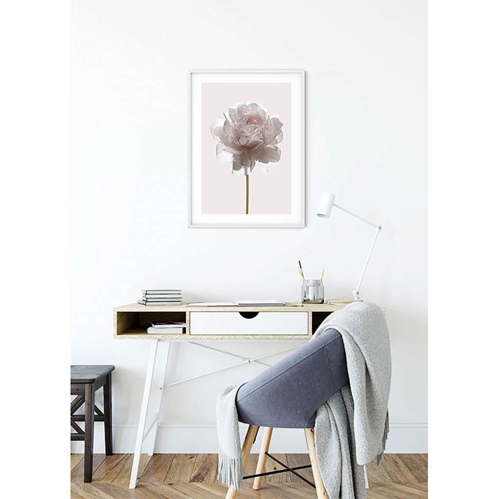 home24 Wandbild Rose