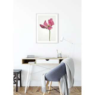 home24 Wandbild Tulip