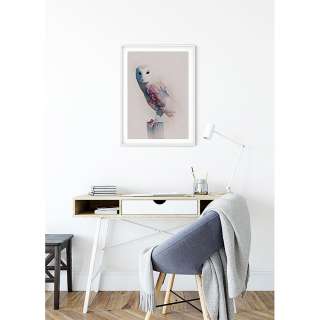 home24 Wandbild Animals Forest Owl