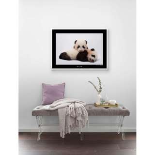 home24 Wandbild Giant Panda
