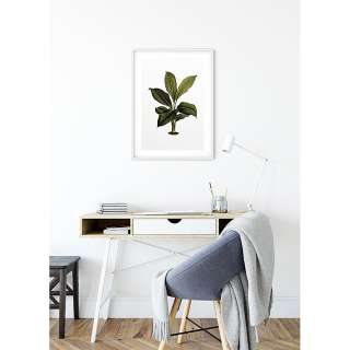 home24 Wandbild Elastica Leaf