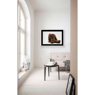 home24 Wandbild Sumatran Orangutan
