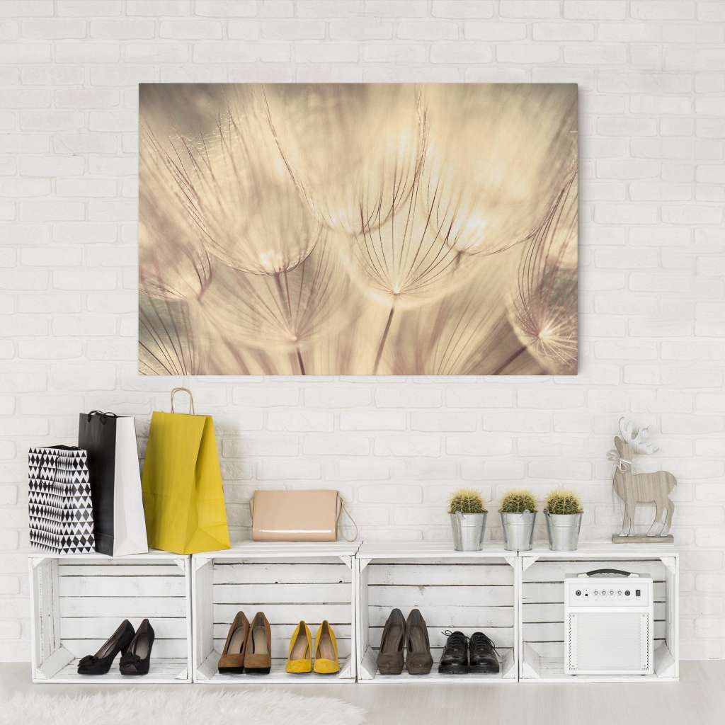 home24 Leinwandbild Pusteblumen IV