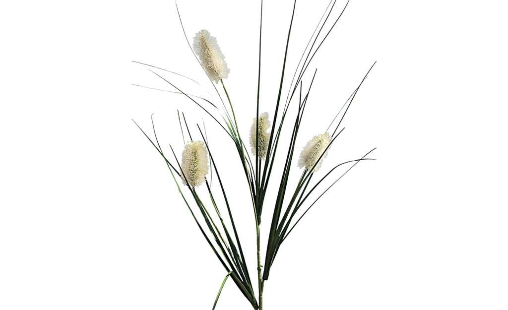 Hasenschwanzgras ¦ grün ¦ Kunststoff Dekoration > Kunstblumen - Höffner