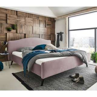 Polsterbett in Altrosa Velours modern