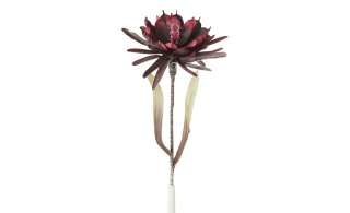 Soft Flower Kaktusblüte ¦ rot ¦ Metall, Kunststoff Dekoration > Kunstblumen - Höffner