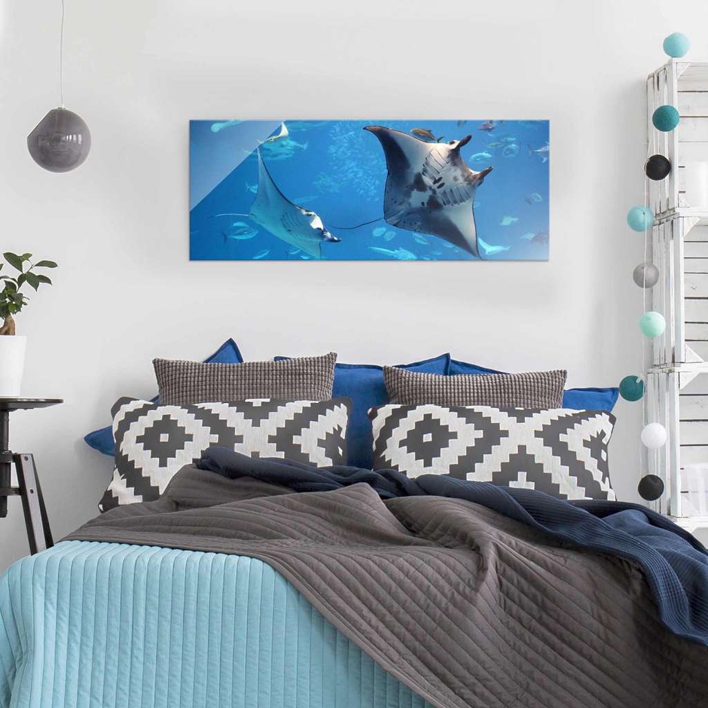 home24 Glasbild Manta Ray