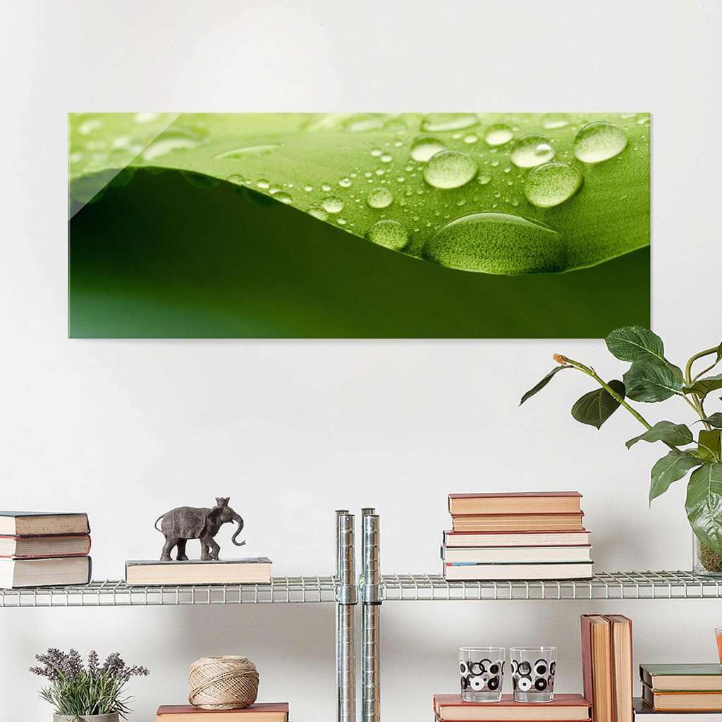 home24 Glasbild Drops of Nature