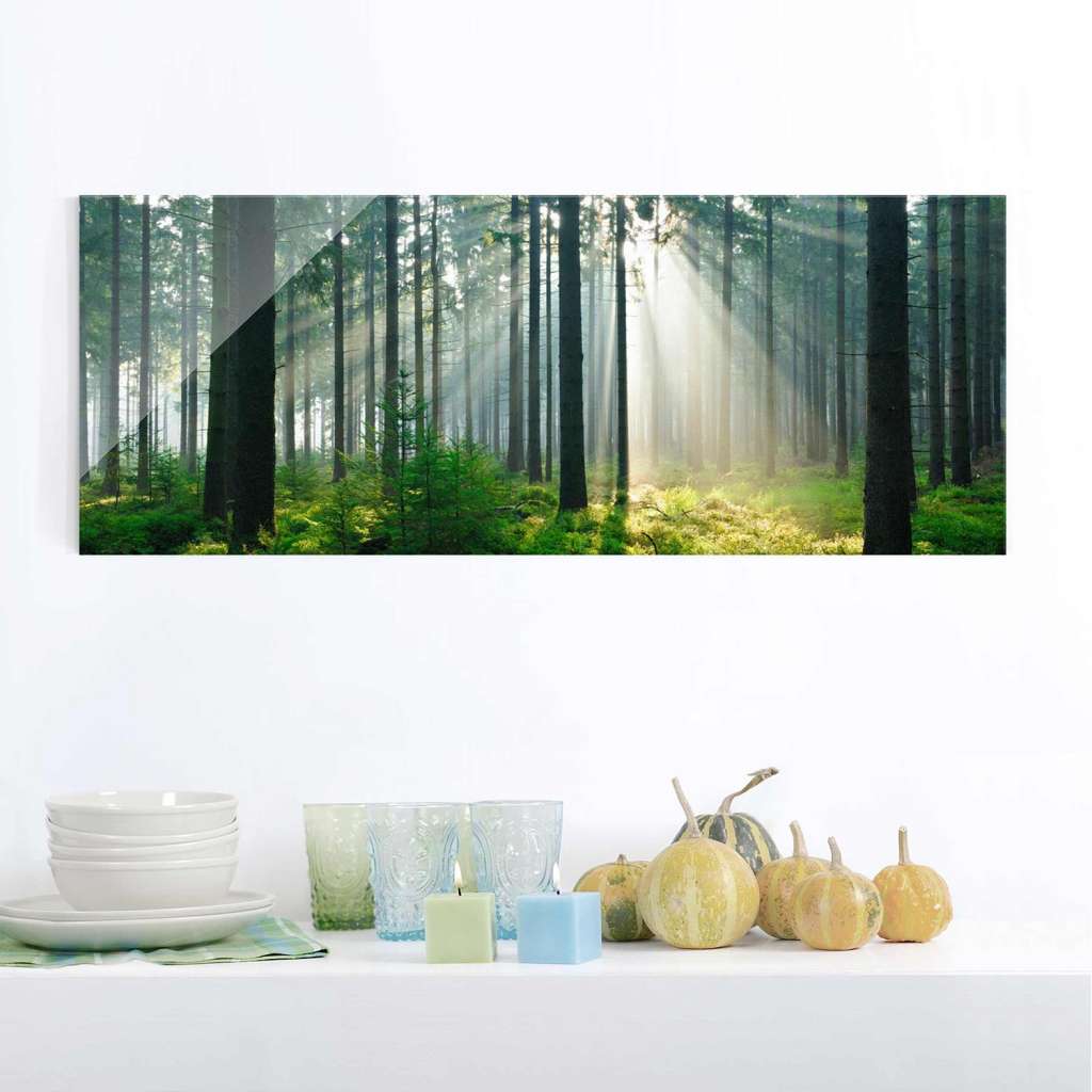 home24 Glasbild Enlightened Forest