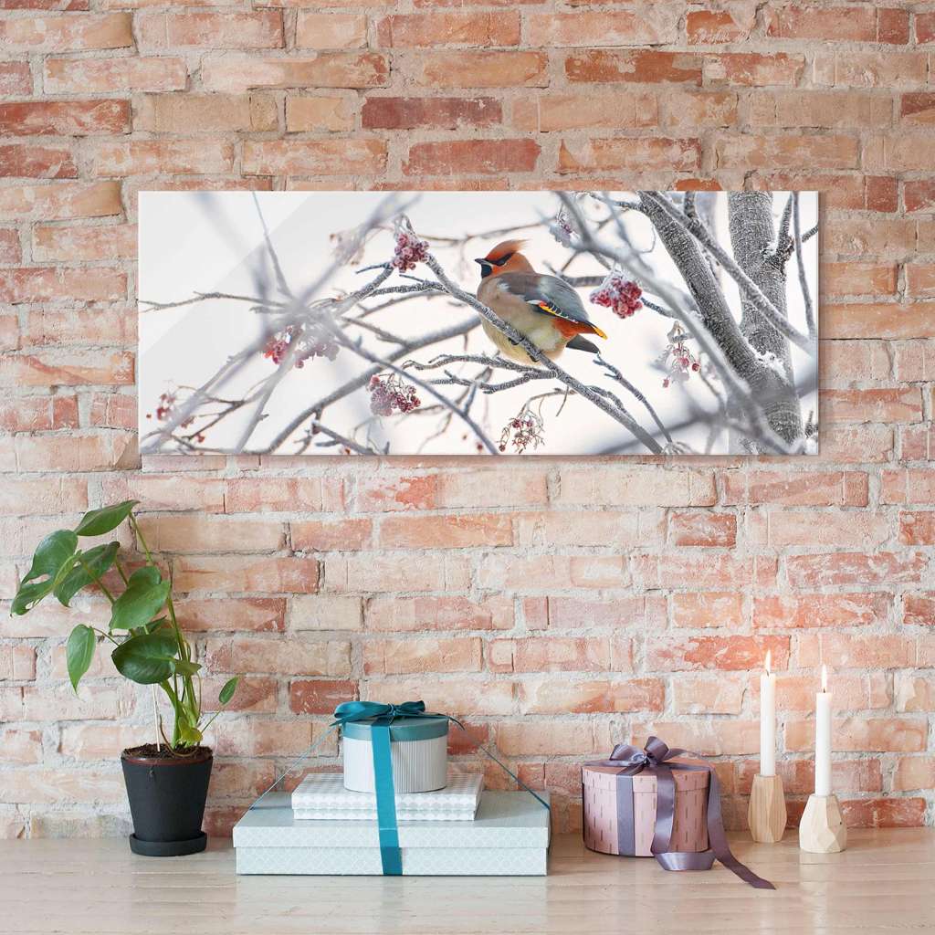 home24 Glasbild Seidenschwanz im Baum