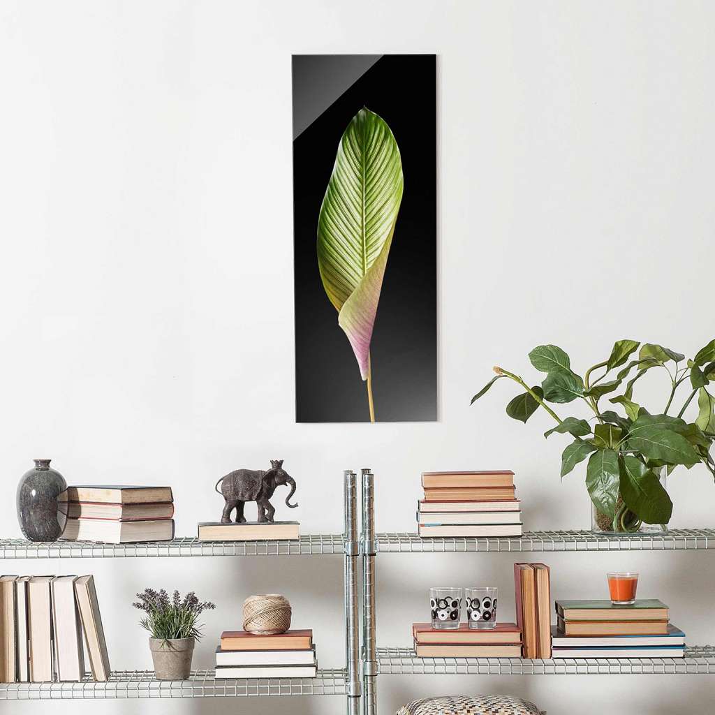 home24 Glasbild Blatt Calathea-ornata