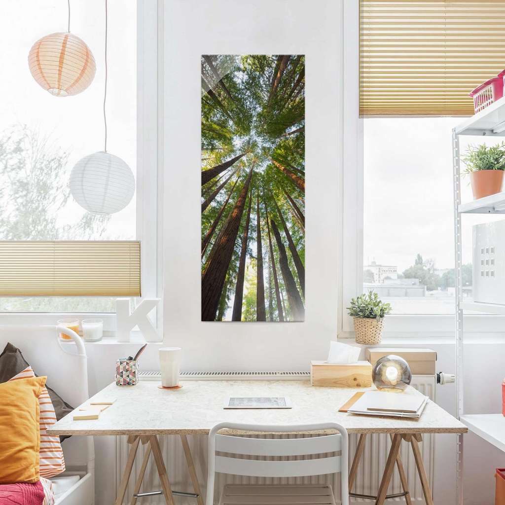 home24 Glasbild Mammutbaum Baumkronen