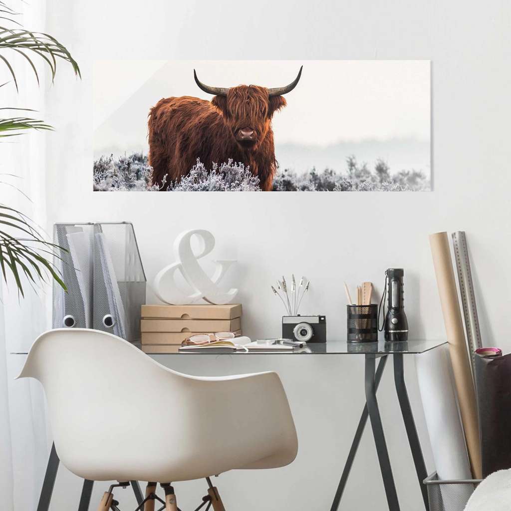 home24 Glasbild Bison in den Highlands