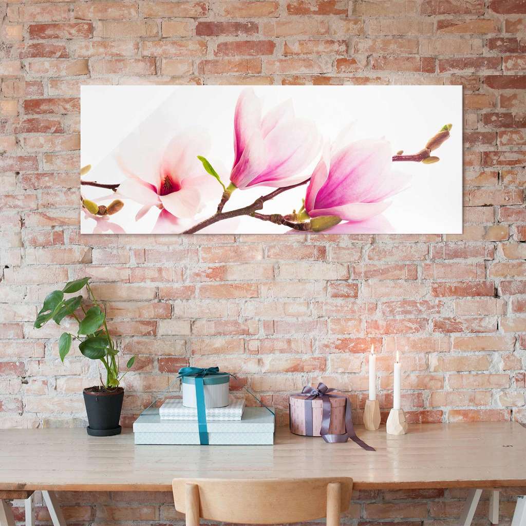 home24 Glasbild Zarter Magnolienzweig