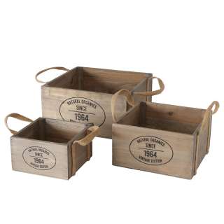 home24 Box Vinta (3-teilig)