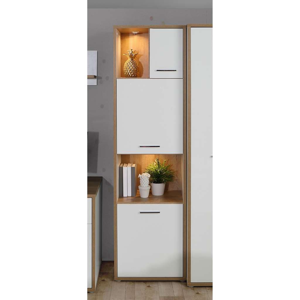 home24 Regal Chicory