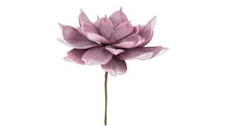 Soft Flower Aloe ¦ rosa/pink ¦ Metall, Kunststoff Ø: 25 Dekoration > Kunstblumen - Höffner