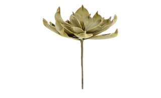 Soft Flower Aloe ¦ grün ¦ Metall, Kunststoff Ø: 25 Dekoration > Kunstblumen - Höffner