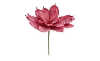 Soft Flower Aloe mit Glitter ¦ rosa/pink ¦ Metall, Kunststoff Ø: 25 Dekoration > Kunstblumen - Höffner