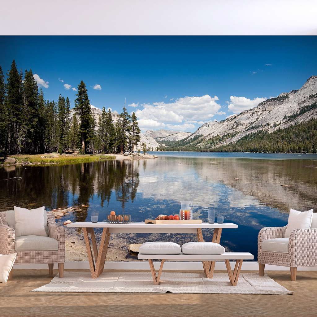 home24 Vlies Fototapete Tenaya Lake