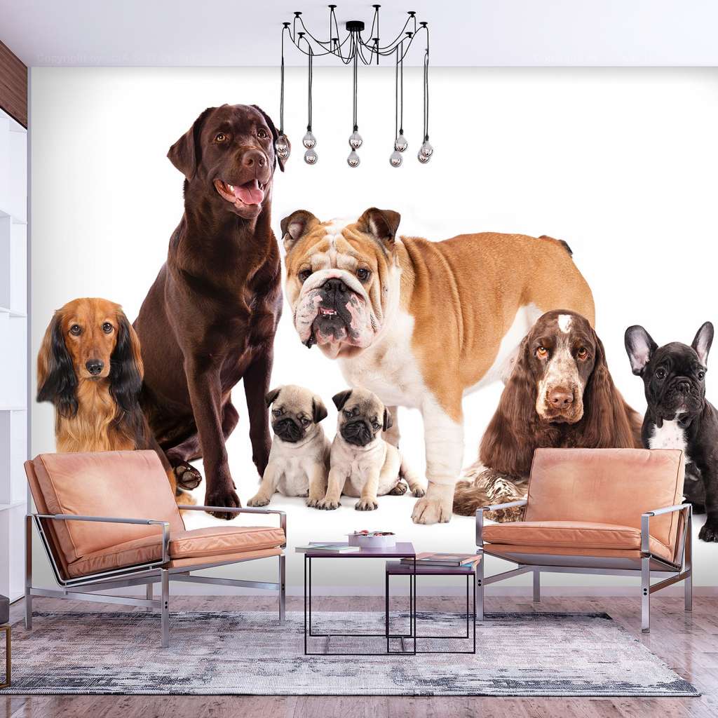 home24 Vlies Fototapete Dog Integration
