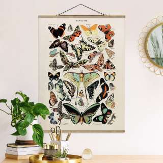 home24 Stoffbild Lehrtafel Schmetterlinge