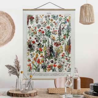 home24 Stoffbild Vintage Lehrtafel Blumen IV