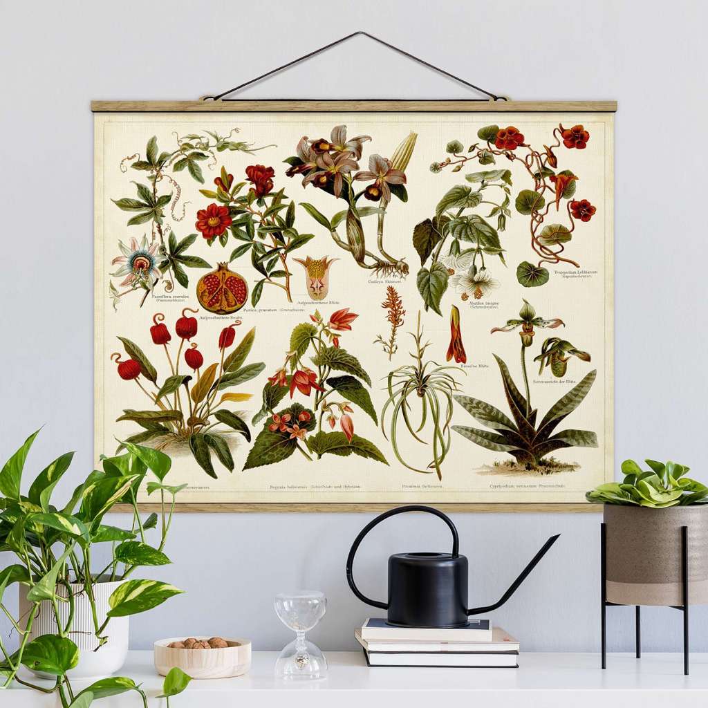 home24 Stoffbild Lehrtafel Tropische Botanik II