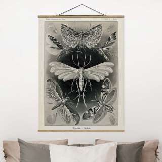 home24 Stoffbild Lehrtafel Motten und Falter