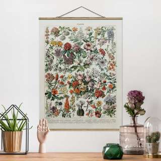 home24 Stoffbild Vintage Lehrtafel Blumen II